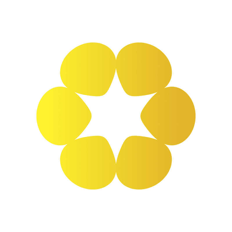 SmileFit