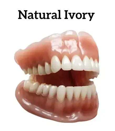 SmileFitPro™ New Generation Flexible Full Denture Solution